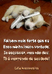 amor