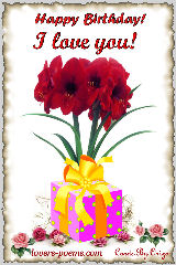 Happy Birthday, my love!