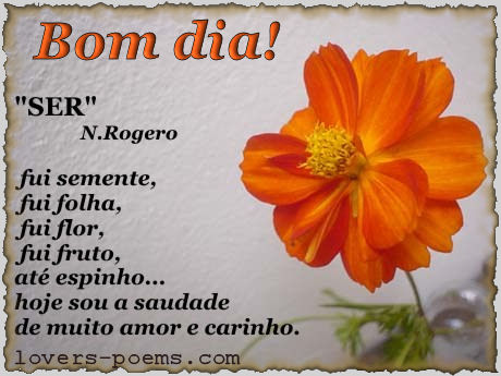 Bom dia