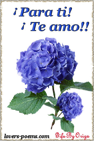 te amo mi amor quotes. te amo mi amor quotes