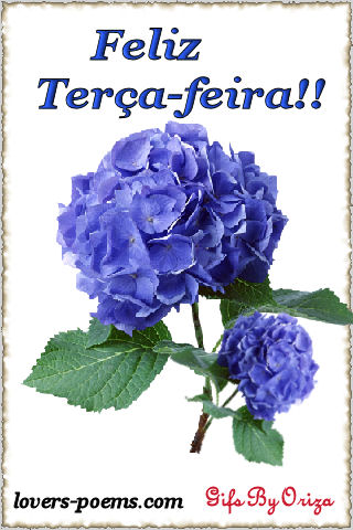 Feliz Tera-feira!