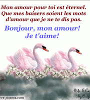 Bonjour