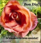 Bon dia