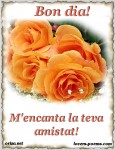Bon dia, amor, t'estimo