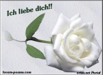 ich liebe dich