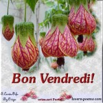 vendredi
