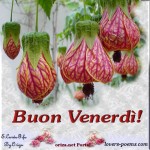 venerd