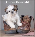 venerd