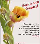 tuesday