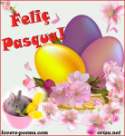 Bon dia