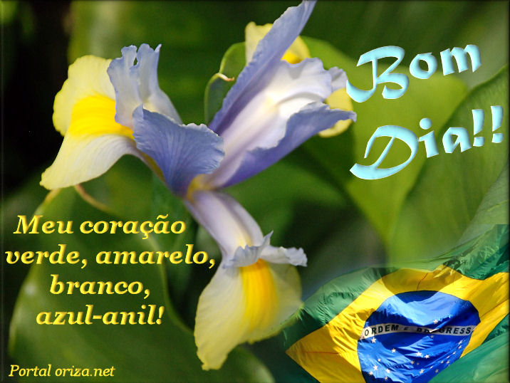 Copa do Mundo - Brasil