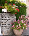 felice domenica