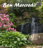 bom nmercredi!