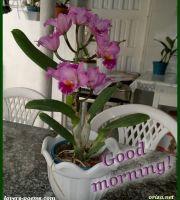 Good morning