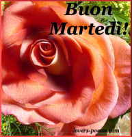 Buon Martedì