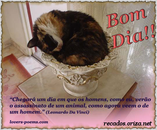 Bom dia!