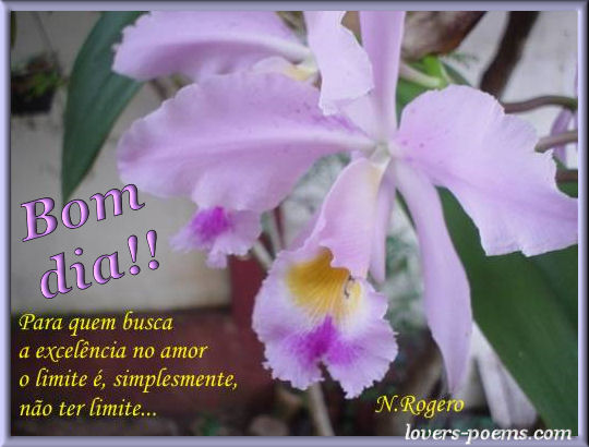 Bom dia