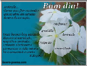 Bom dia
