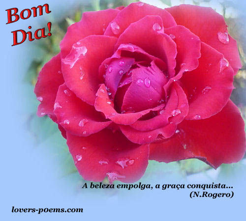 Bom dia!!