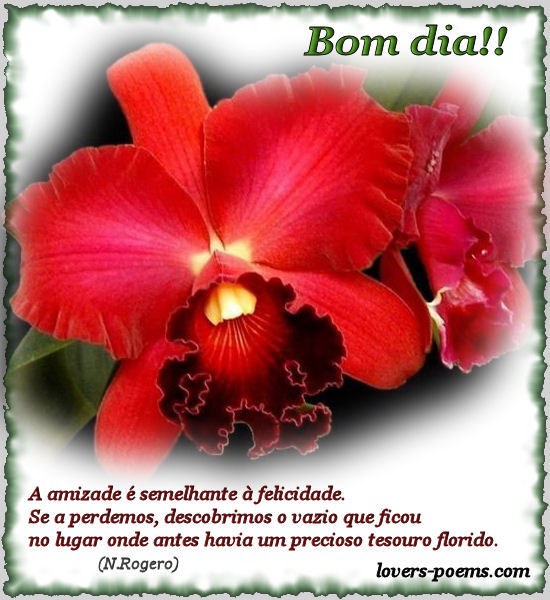 Bom dia
