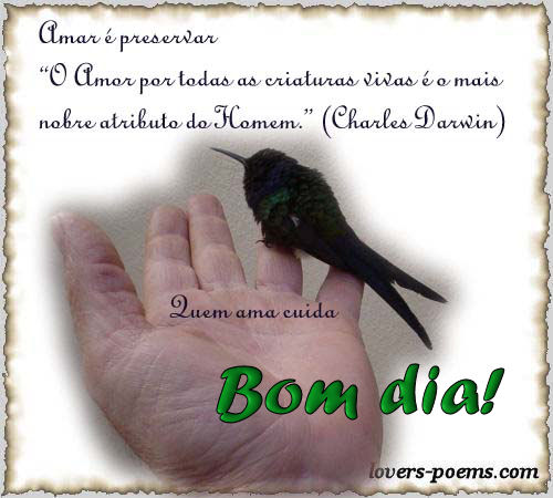 Bom dia