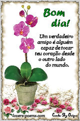 Bom dia! 