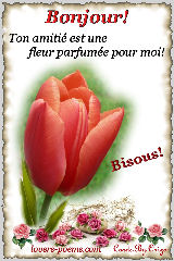 Bonjour