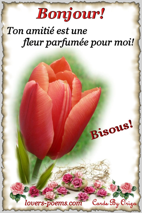 Bonjour!
