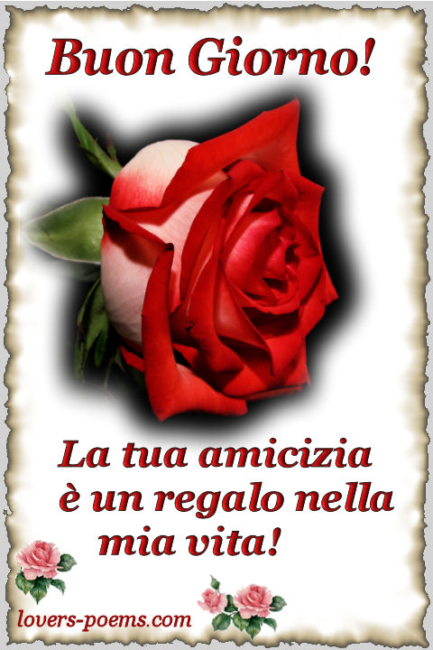 Messaggi Cartoline Di Buon Giorno 4 Messaggio D Amicizia Frasi D Amicizia L Amicizia E Un Fiore Raro La Tua Amicizia E Un Regalo Papavero Passione Parole D Amore Per Te Poesie D Amore