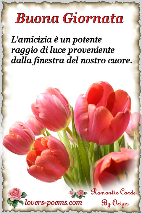 Messaggi Cartoline Di Buon Giorno 1 Messaggio D Amicizia Frasi D Amicizia L Amicizia E Un Fiore Raro La Tua Amicizia E Un Regalo Papavero Passione Parole D Amore Per Te Poesie