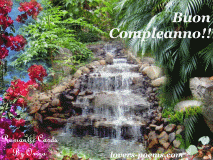 Buon Compleanno