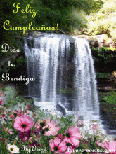 Feliz Cumpleaos