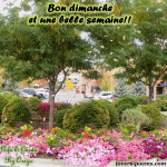 Bon Dimanche