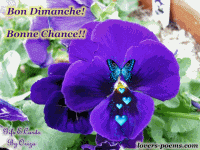 Bon Dimanche