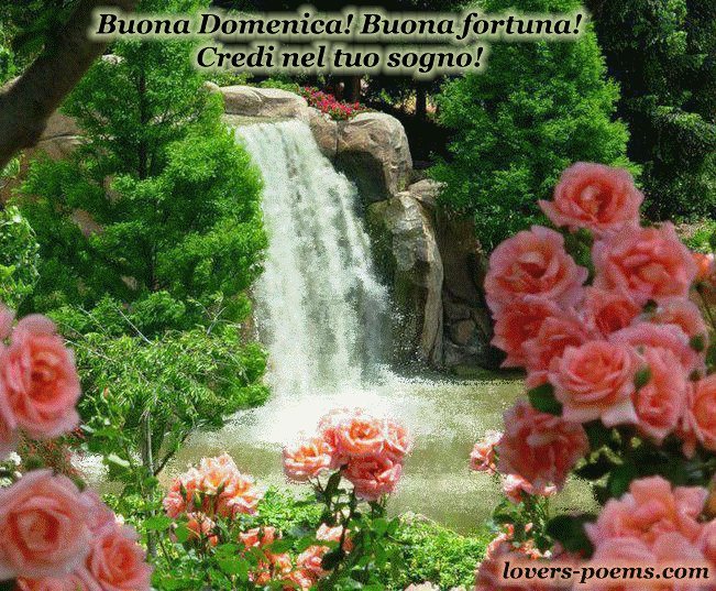 domenica-13-02.gif