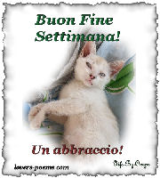 Buon Fine Settimana!