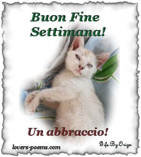 Buon Fine Settimana Messaggio Di Natale Papavero Passione Parole D Amore Per Te Poesie D Amore Fiore Per Te 3 Rose Innamorati Messaggio Di Buona Notte Felice Giovedi Poesie Messaggi D Amore