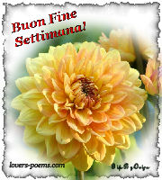 Buon Fine Settimana!