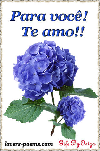 Flores para voc