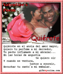 Te amo