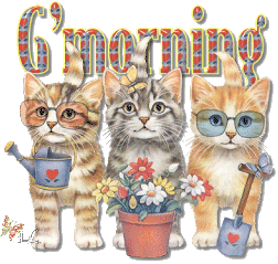 Good morning