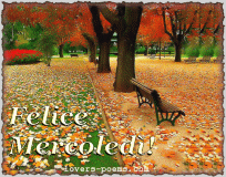Felice Mercoled! Clicca per inviare