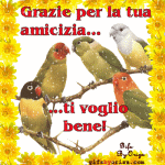 amicizia