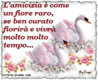 L'amicizia ...
