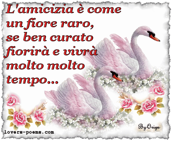 Frasi d'amicizia