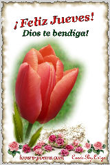 Feliz Jueves