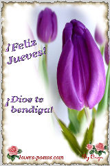Feliz Jueves