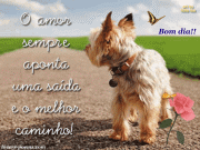 O amor...