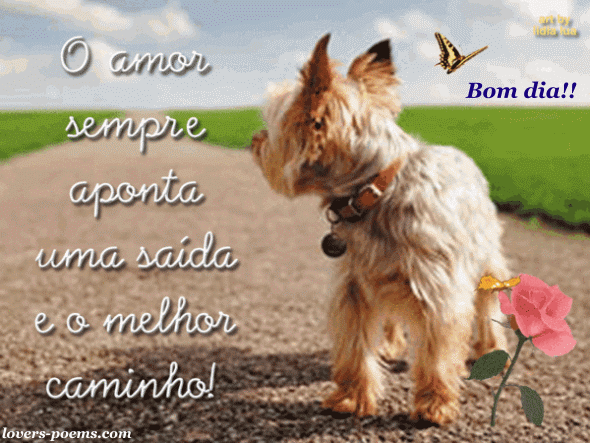 "Bom dia"  em gif animado - aguarde carregar...