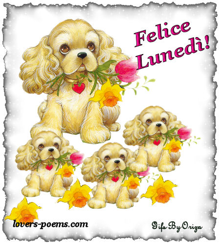 Felice Luned